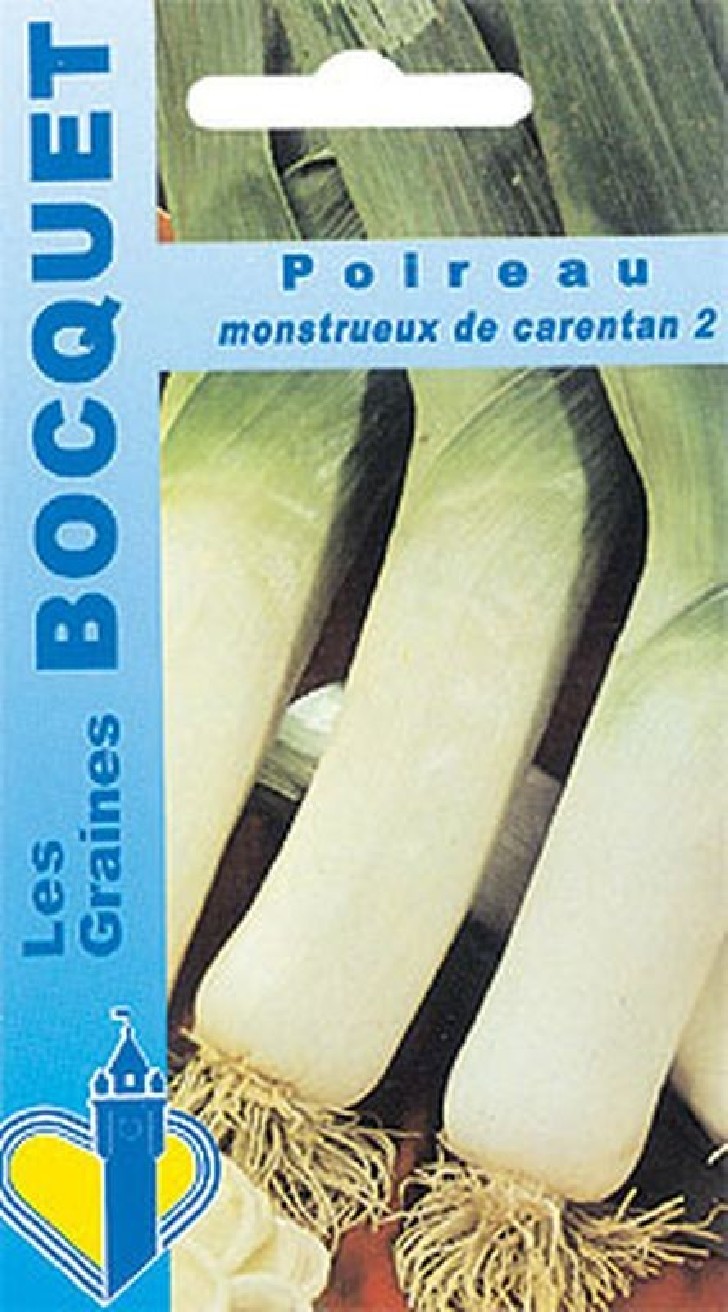 Graines de Poireau monstrueux de Carentan-2 | Graines Bocquet