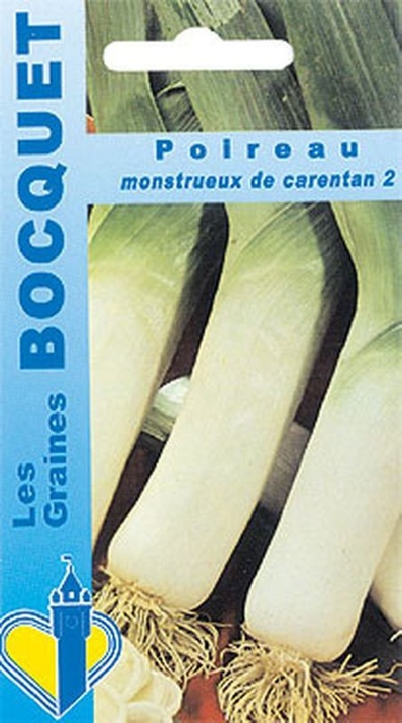 Graines de Poireau monstrueux de Carentan-2 | Graines Bocquet