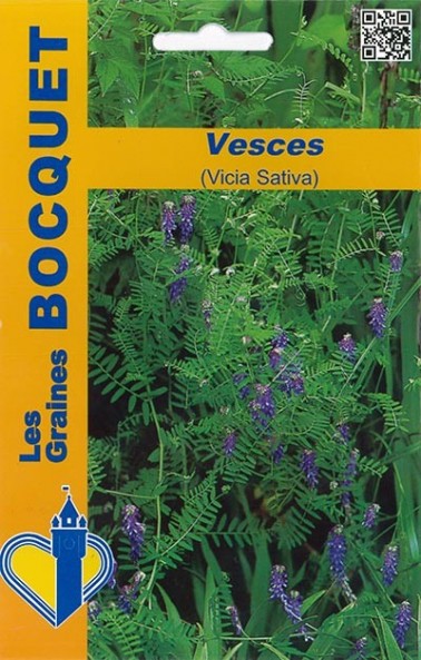 Graines de Vesce , couvert végétal à semer | Graines Bocquet