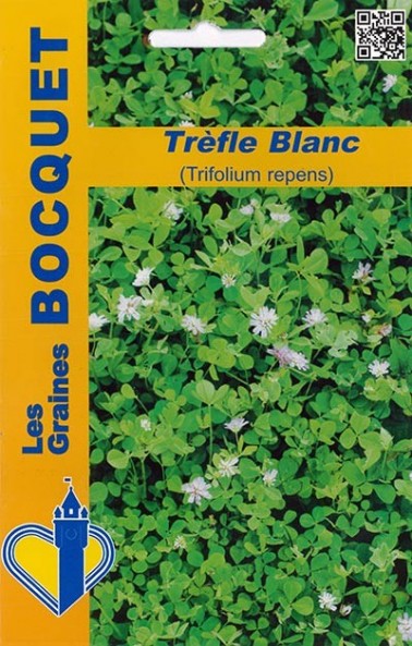 Graines de Trèfle blanc (Trifolium repens) | Les Graines Bocquet