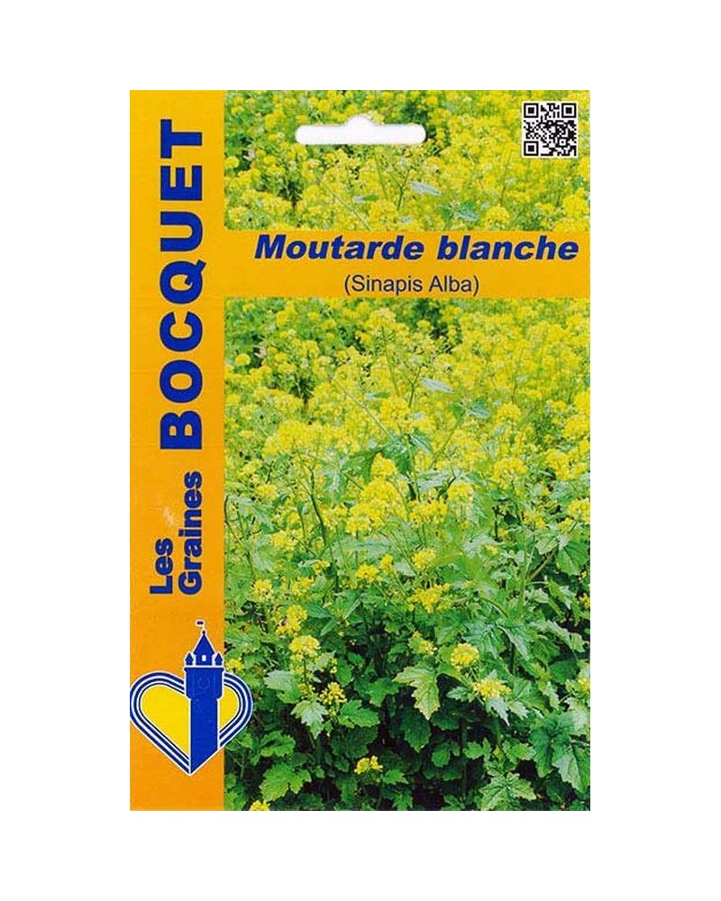 Moutarde blanche, couvert végétal à semer | Les Graines Bocquet