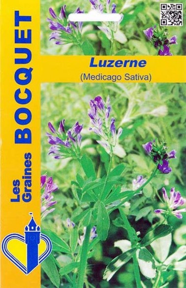 Graines de Luzerne (Medicago sativa) à semer | Graines Bocquet