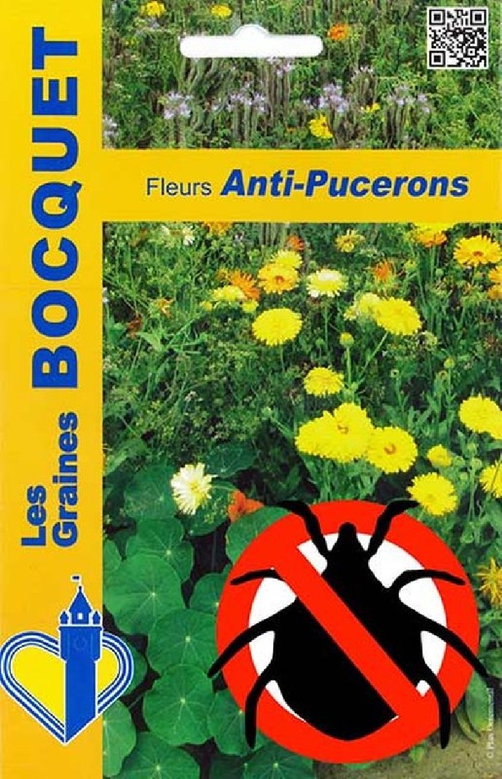 Mélange écologique de graines de fleurs Anti-Pucerons