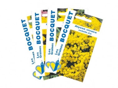Lot de 4 sachets de graines de fleurs jaunes  | Graines Bocquet