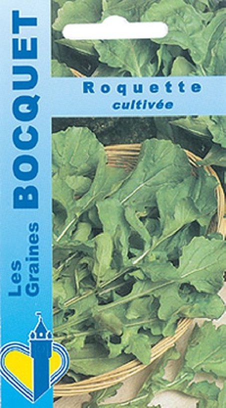 Roquette cultivée