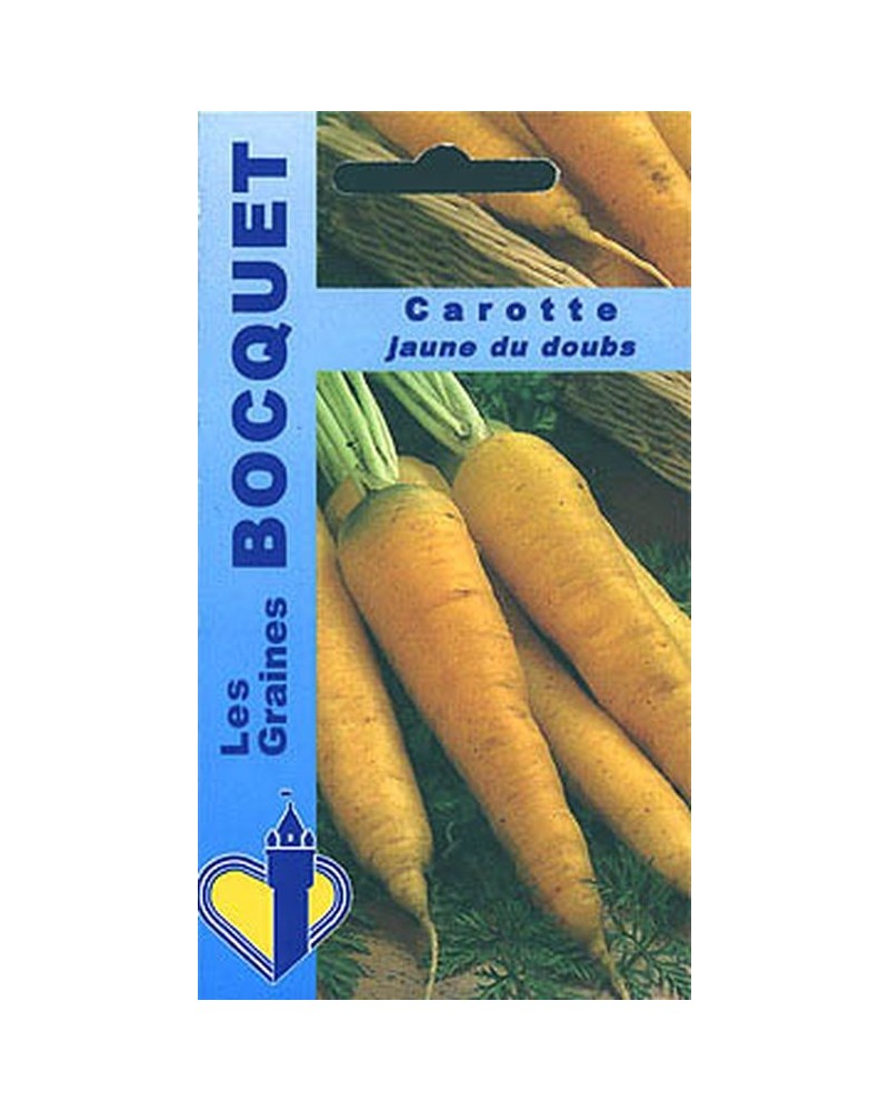Graines de carotte jaune du Doubs à semer | Graines Bocquet