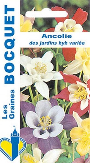 Graines de fleurs Ancolie des jardins variée | Graines Bocquet