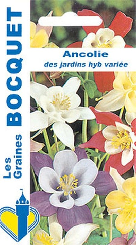 Graines de fleurs Ancolie des jardins variée | Graines Bocquet