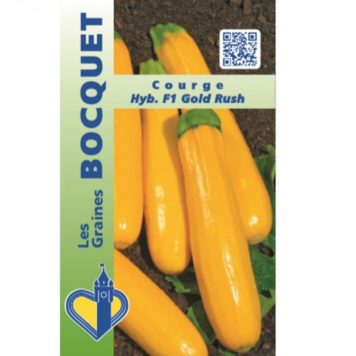 Courge HYBRIDE F1 Gold Rush