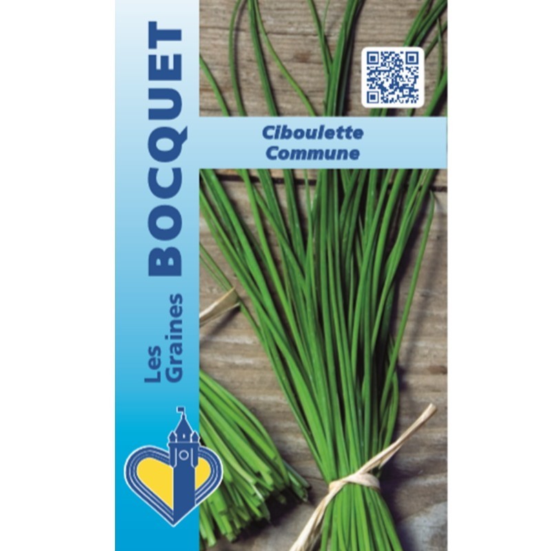 Graines de Ciboulette Commune - Aromatique | Graines Bocquet