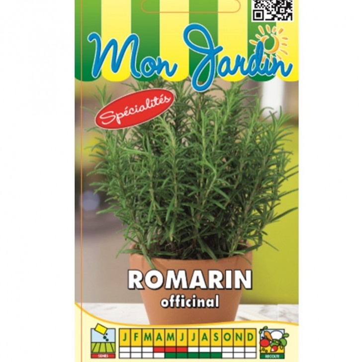 Romarin Officinal (Rosmarinus officinalis)
