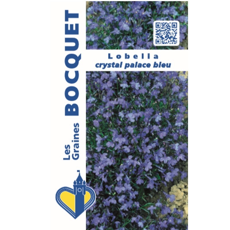 Fleurs Lobélia Crystal Palace Bleu à semer | Les Graines Bocquet
