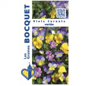 Graines de Fleurs Viola Cornuta variée | Les Graines Bocquet