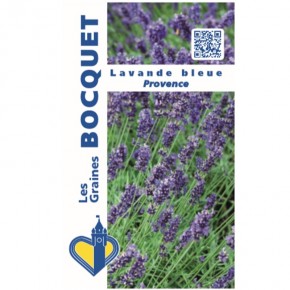 Graines de Lavande Blue Provence à semer | Graines Bocquet