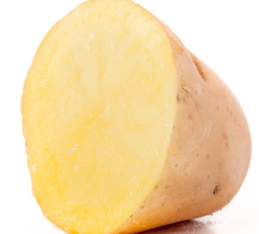 Plants de pommes de terre Etincelle | Les Graines Bocquet