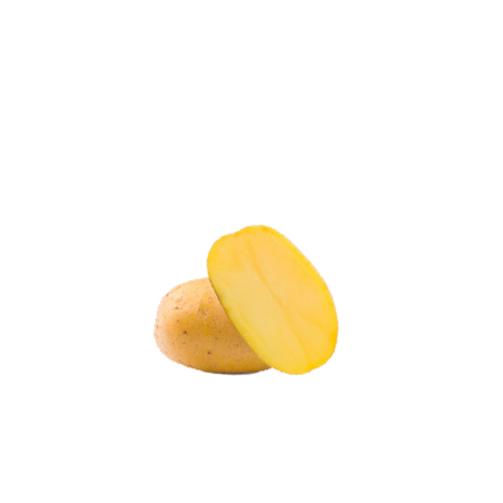 Pomme de terre Gold Marie