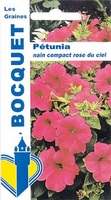 Pétunia nain compact rose du ciel | Graines Bocquet