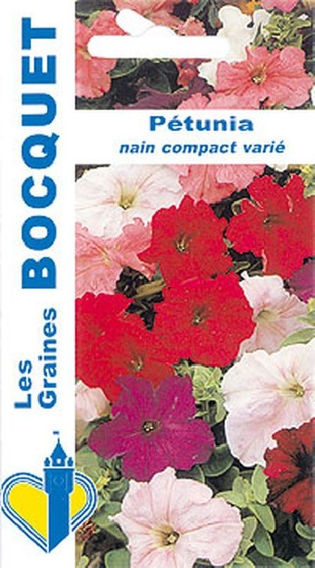 Pétunia nain compact varié | Graines Bocquet