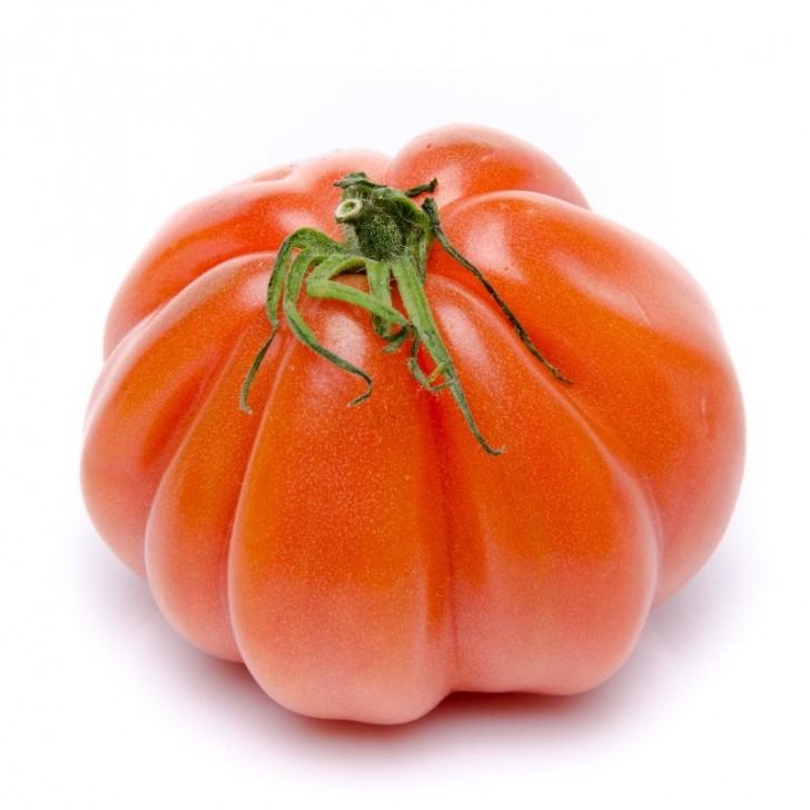Tomate Beefsteak (chair de boeuf)