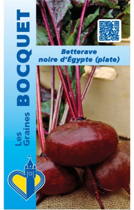 Graines de betterave noire d'Egypte à semer | Graines Bocquet