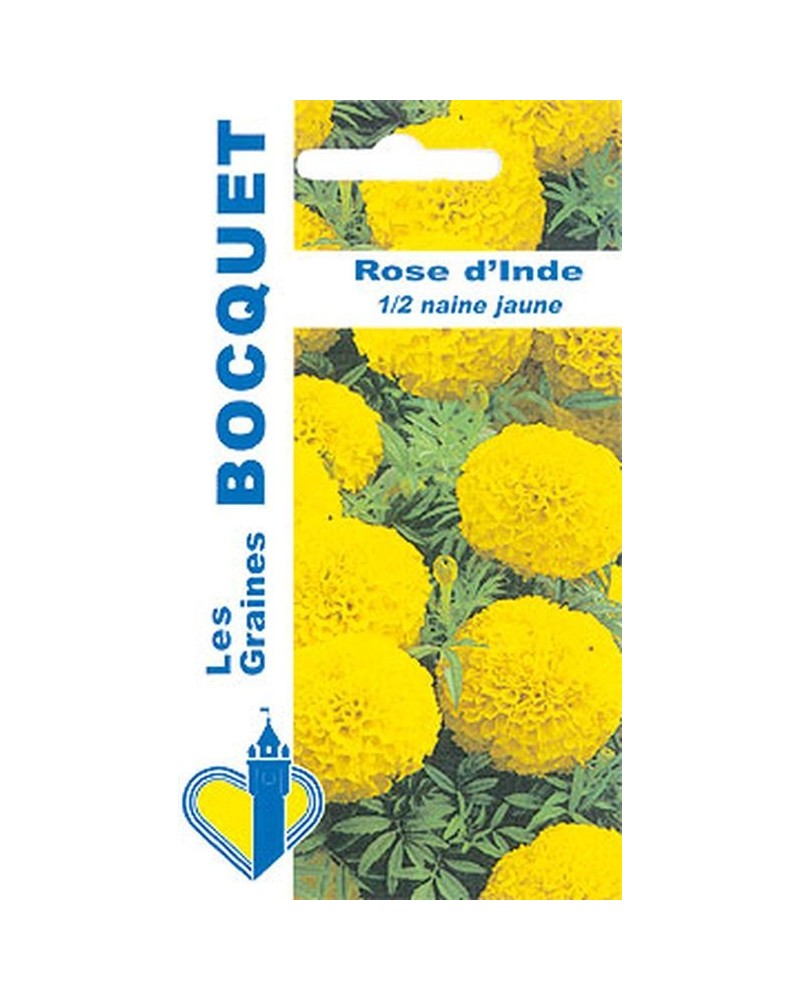 Rose d'Inde demi naine jaune | Graines Bocquet