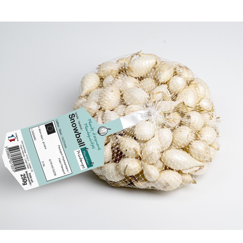 Bulbes d’Oignon Blanc Snowball à planter | Les Graines Bocquet