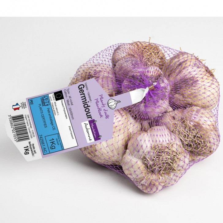 Ail Germidour violet 250 grs