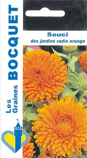 Graines de Souci des jardins "Radio orange" | Graines Bocquet