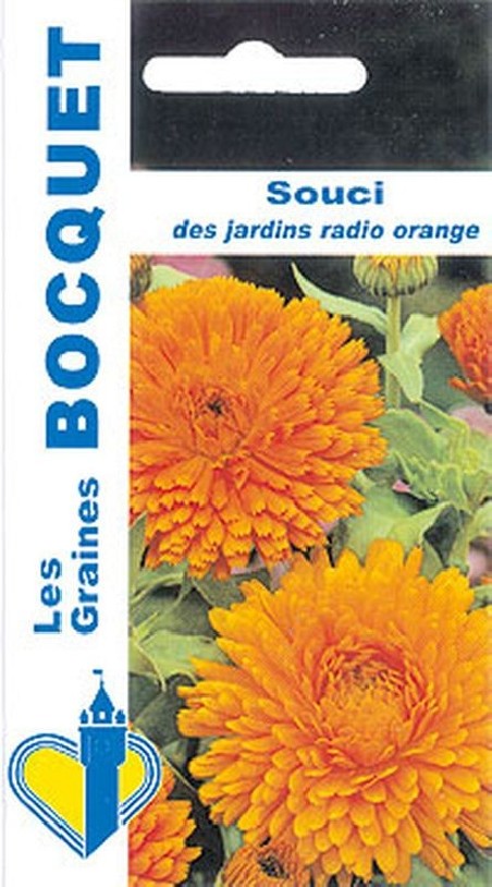 Souci des jardins Radio orange