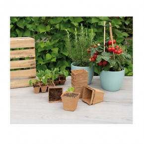 Pot Biodégradable 8cm-10pcs-SOGO | Les Graines Bocquet