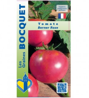 Graines de Tomate Rose de Berne à semer | Les Graines Bocquet