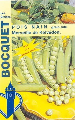 Graines de Pois nain Merveille de Kelvédon | Graines Bocquet