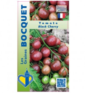 Graines de Tomate Black Cherry à semer | Les Graines Bocquet