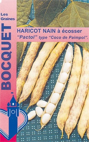 Graines de Haricot nain à écosser Pactol | Graines Bocquet