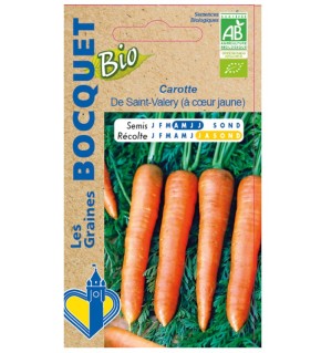 Graines de carotte de Saint Valéry bio | Graines Bocquet