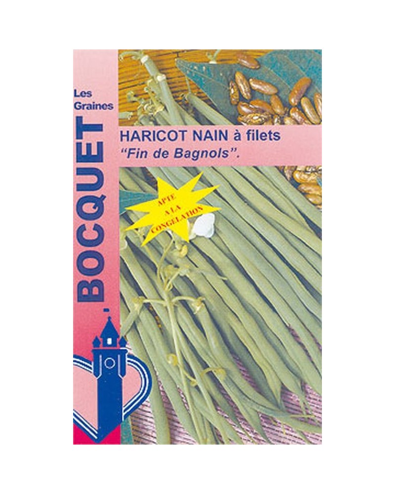Graines de Haricot nain à filet fin de Bagnols | Graines Bocquet