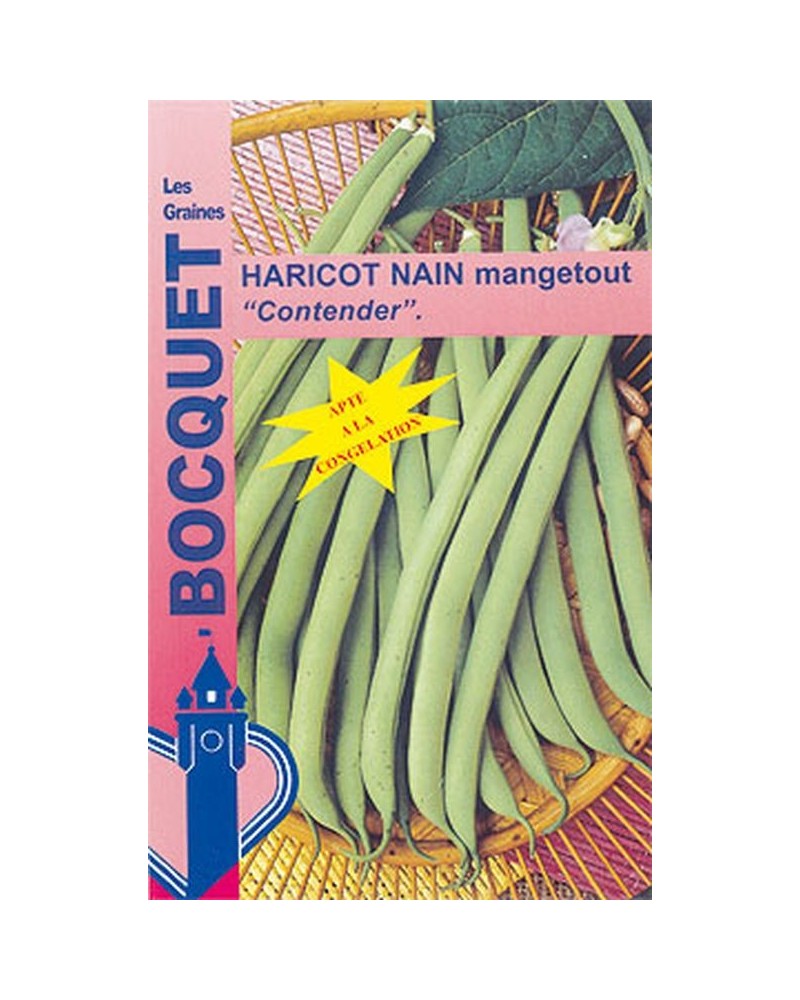 Graines de Haricot Nain Contender à semer | Graines Bocquet