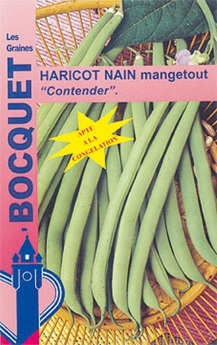 Graines de Haricot Nain Contender à semer | Graines Bocquet