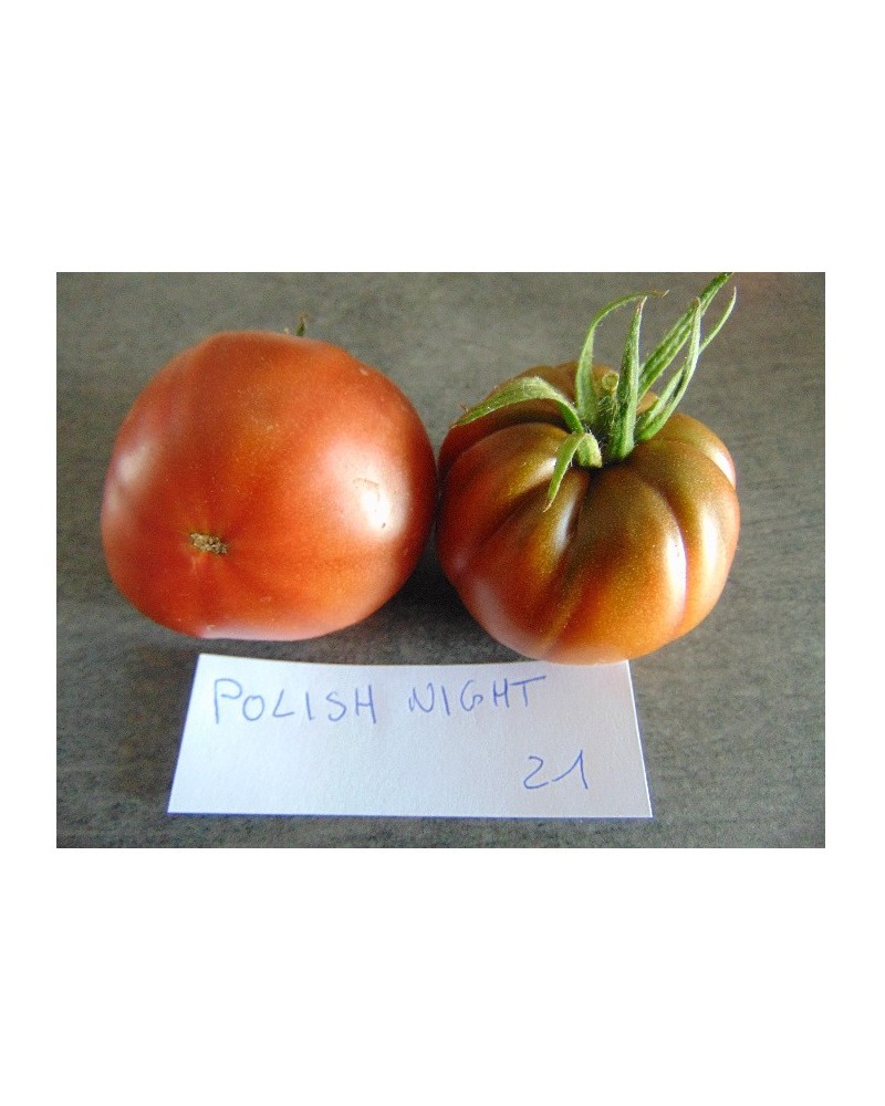 Graines de Tomate Polish night à semer | Les Graines Bocquet