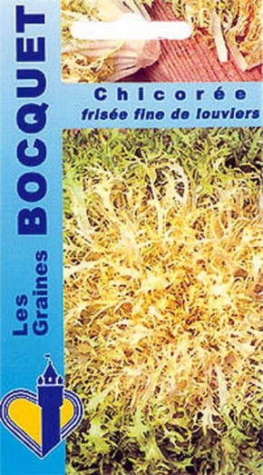 Graines de chicorée frisée fine de Louviers | Graines Bocquet
