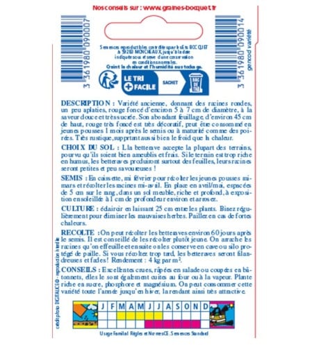 betterave bull's blood betterave bull's blood