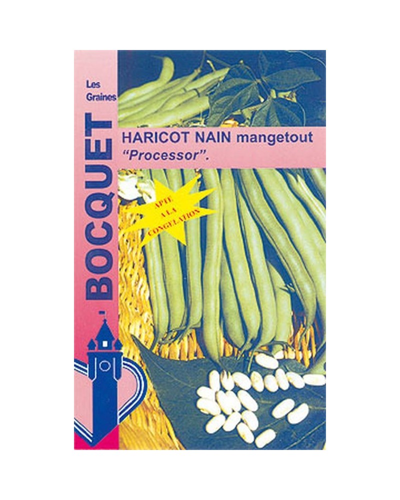 Graines de Haricot nain mangetout Processor  | Graines Bocquet