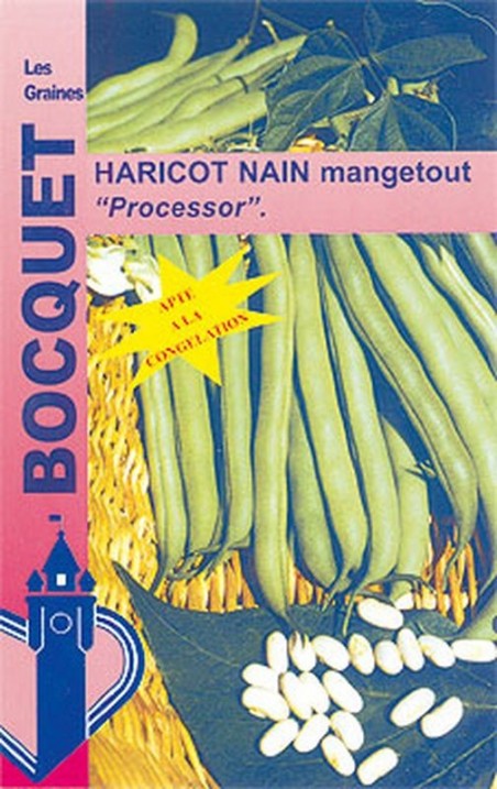 Graines de Haricot nain mangetout Processor  | Graines Bocquet