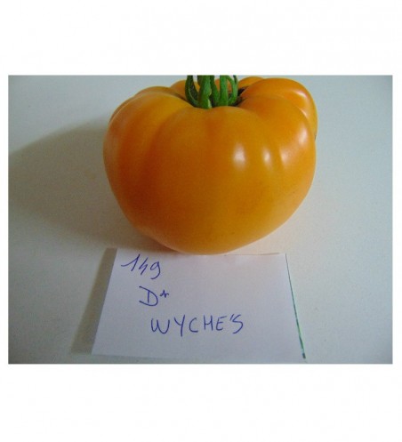 Tomate Dr Wyshe's