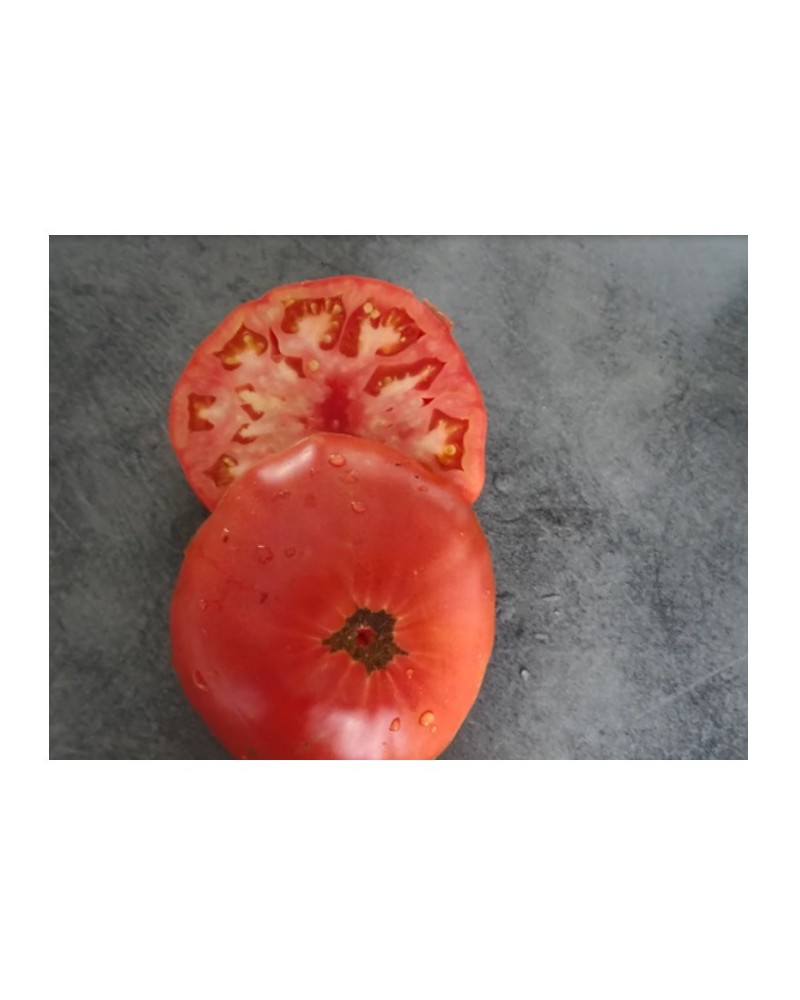 Graines de Tomate belle du poitou à semer | Les Graines Bocquet