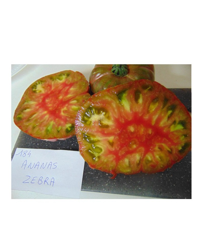 Graines de Tomate ananas zebra à semer | Les Graines Bocquet