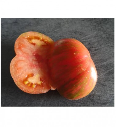 Graines de Tomate Caitlin's Lucky stripes à semer | Les Graines Bocquet