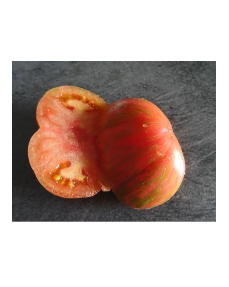 Graines de Tomate Caitlin's Lucky stripes à semer | Les Graines Bocquet