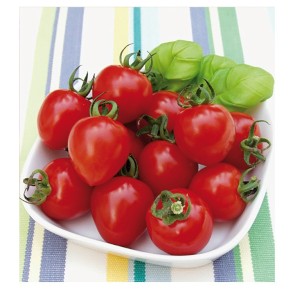 Graines de tomates hyb f1 gardenberry à semer | Les Graines Bocquet