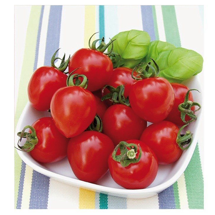 Tomate Hyb F1 Gardenberry